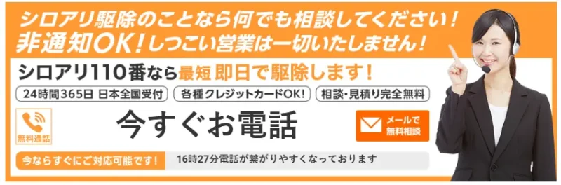 おすすめの優良シロアリ駆除業者
