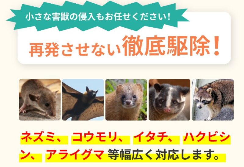 東京都の一軒家ネズミ対策でおすすめの業者(相談先)