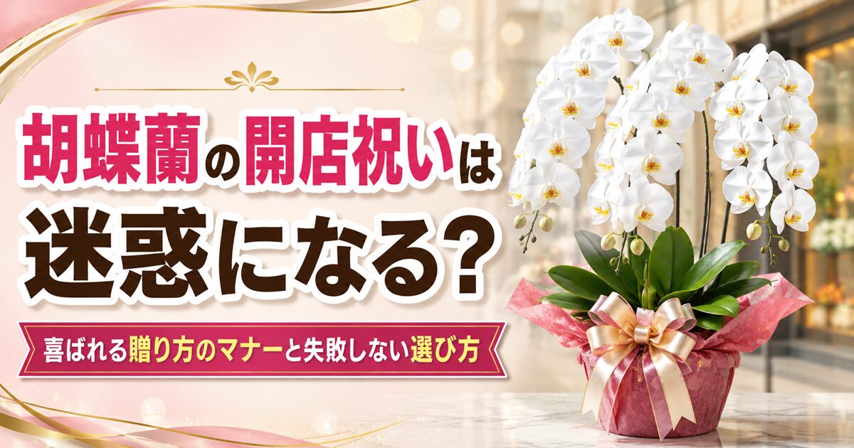 胡蝶蘭の開店祝いが迷惑と言われる理由と、喜ばれる贈り方のマナーを解説したブログ記事のアイキャッチ画像